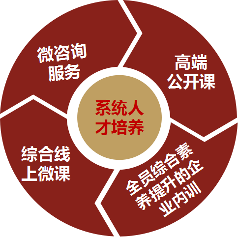 系統(tǒng)人才培養(yǎng)圖片-湖南中堅(jiān)力量.png