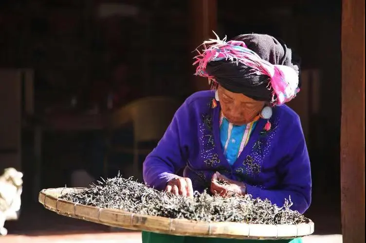 微信圖片_20240718170846.png 微信圖片_20240718170846.png