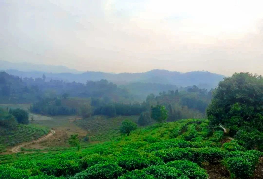 微信圖片_20240718170838.jpg 微信圖片_20240718170838.jpg